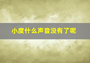 小度什么声音没有了呢