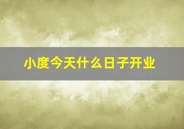 小度今天什么日子开业