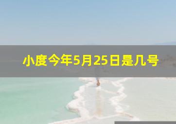 小度今年5月25日是几号