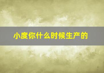 小度你什么时候生产的