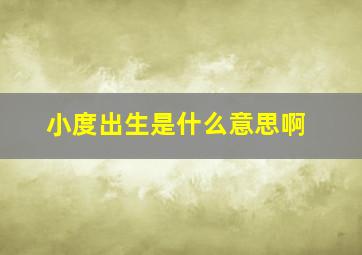 小度出生是什么意思啊