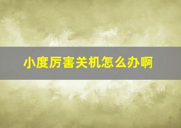 小度厉害关机怎么办啊