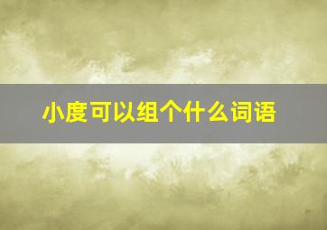 小度可以组个什么词语