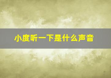 小度听一下是什么声音