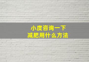 小度咨询一下减肥用什么方法