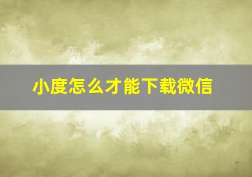 小度怎么才能下载微信