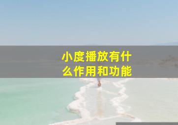 小度播放有什么作用和功能