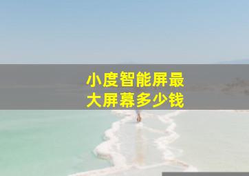 小度智能屏最大屏幕多少钱