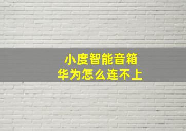 小度智能音箱华为怎么连不上