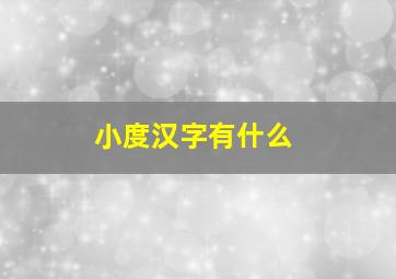 小度汉字有什么