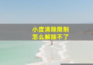 小度清除限制怎么解除不了