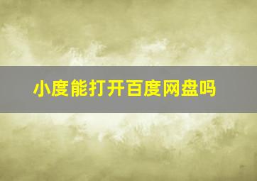 小度能打开百度网盘吗