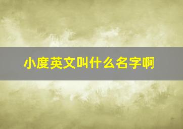 小度英文叫什么名字啊