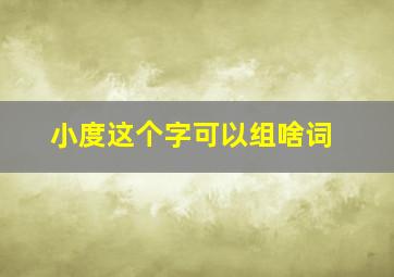 小度这个字可以组啥词