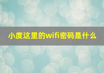 小度这里的wifi密码是什么