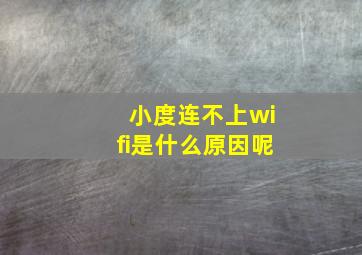 小度连不上wifi是什么原因呢