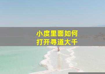 小度里面如何打开寻道大千