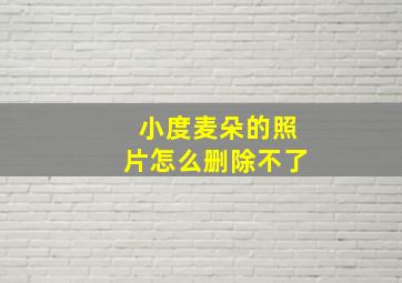 小度麦朵的照片怎么删除不了