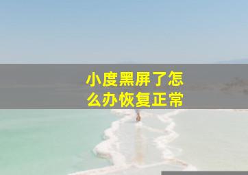 小度黑屏了怎么办恢复正常