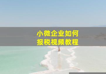 小微企业如何报税视频教程