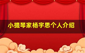 小提琴家杨宇思个人介绍