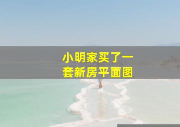 小明家买了一套新房平面图