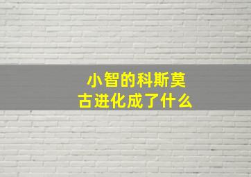 小智的科斯莫古进化成了什么