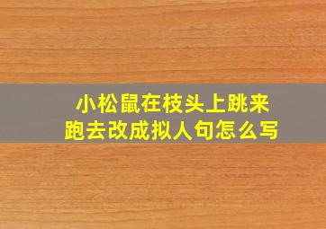 小松鼠在枝头上跳来跑去改成拟人句怎么写