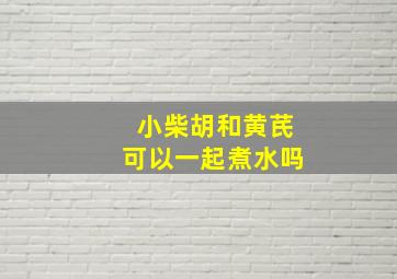 小柴胡和黄芪可以一起煮水吗