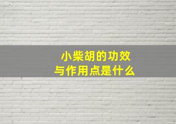 小柴胡的功效与作用点是什么