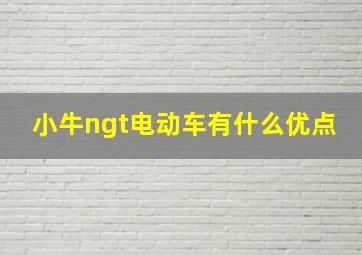 小牛ngt电动车有什么优点