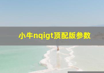 小牛nqigt顶配版参数