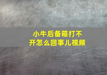 小牛后备箱打不开怎么回事儿视频