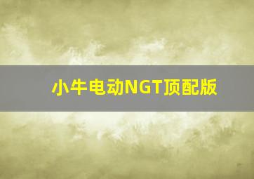 小牛电动NGT顶配版