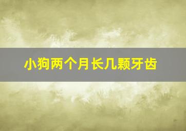 小狗两个月长几颗牙齿