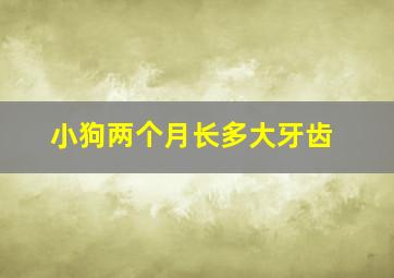 小狗两个月长多大牙齿