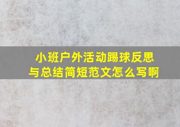 小班户外活动踢球反思与总结简短范文怎么写啊