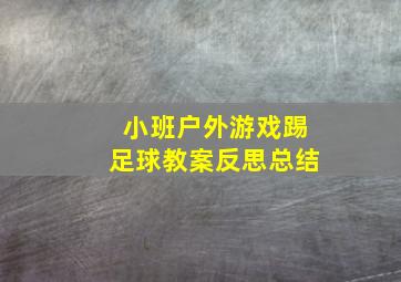 小班户外游戏踢足球教案反思总结