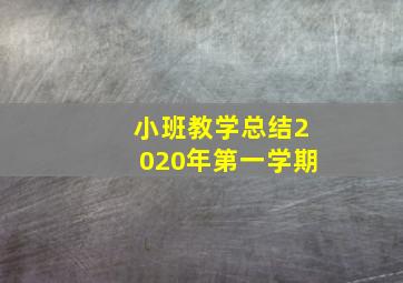 小班教学总结2020年第一学期