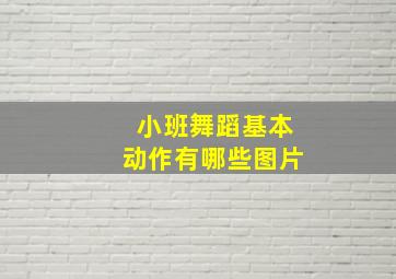 小班舞蹈基本动作有哪些图片