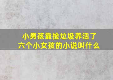 小男孩靠捡垃圾养活了六个小女孩的小说叫什么