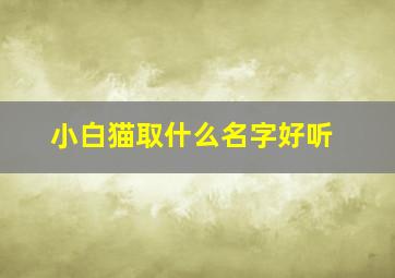 小白猫取什么名字好听