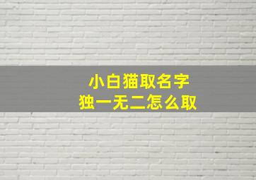 小白猫取名字独一无二怎么取