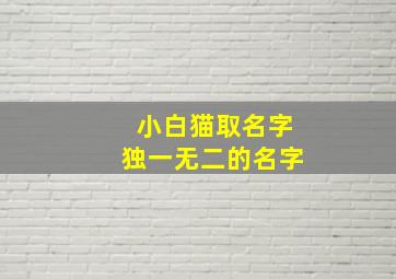 小白猫取名字独一无二的名字