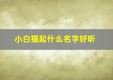 小白猫起什么名字好听