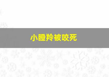 小瞪羚被咬死