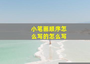 小笔画顺序怎么写的怎么写