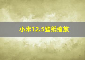 小米12.5壁纸缩放