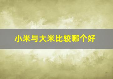 小米与大米比较哪个好