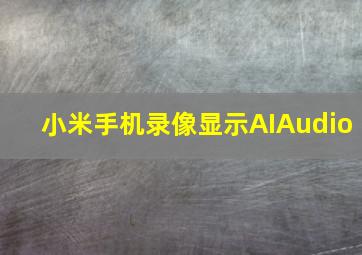 小米手机录像显示AIAudio